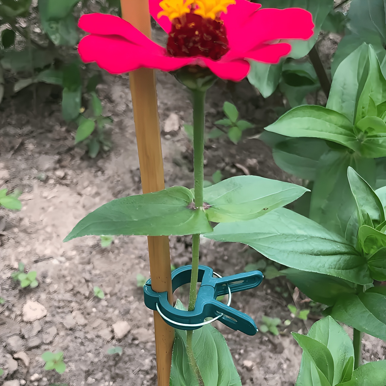 Gardening Tools Essential - 5PC Adjustable Plant Clips Large Or