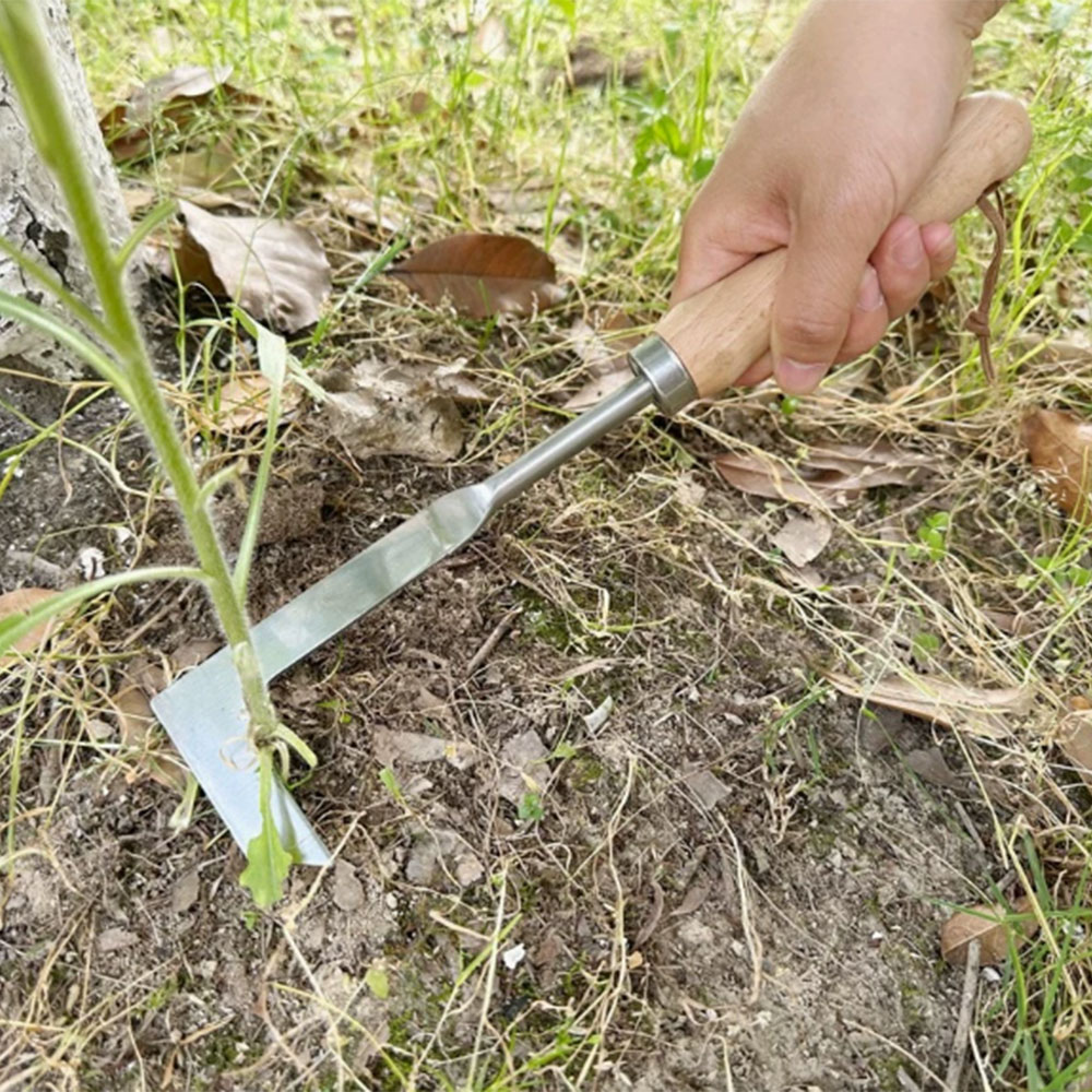 Stainless Steel Gap Weeding To - огляд і ціна Gardening Tools Used