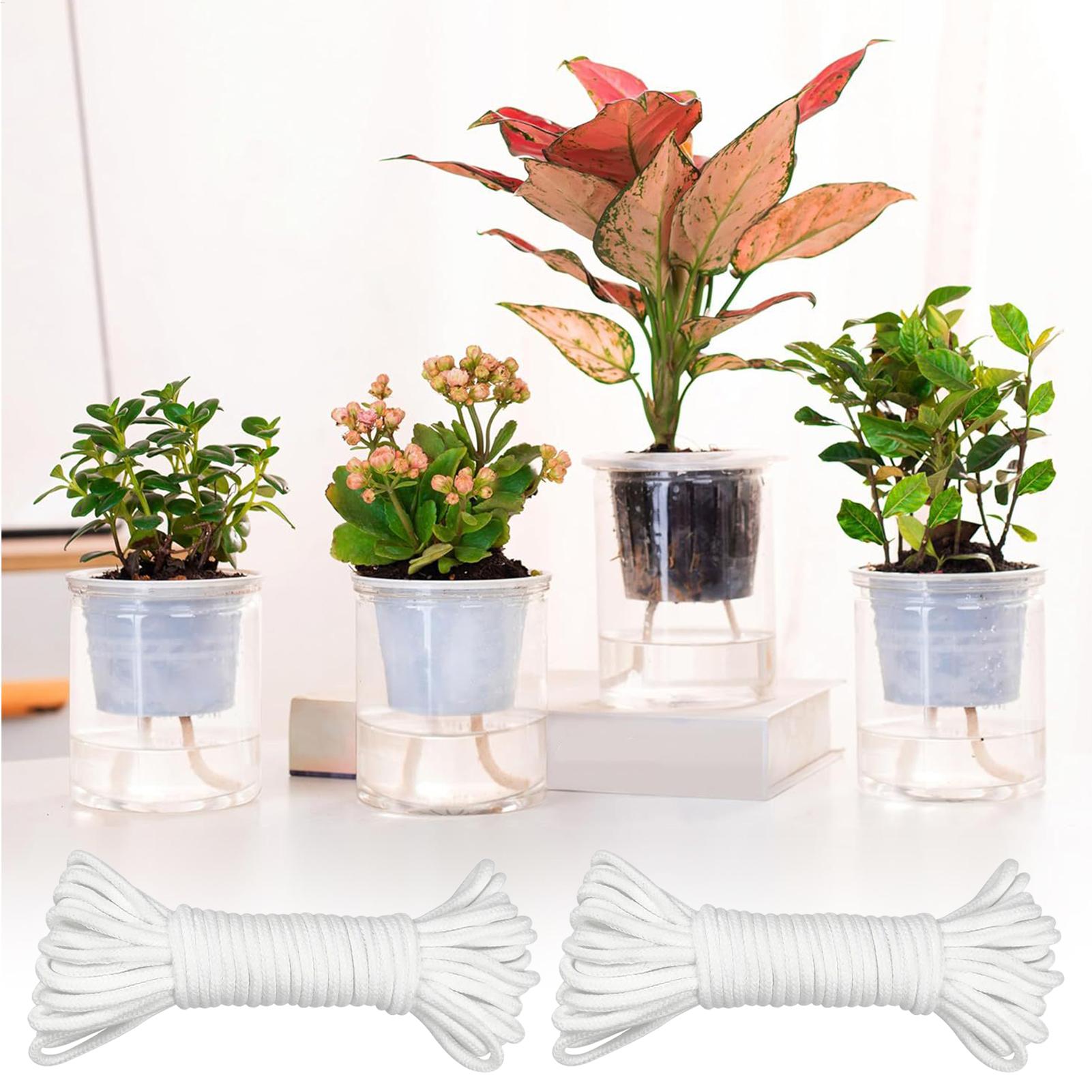 Plant Wicks For Self Watering  - огляд і ціна Self-Watering Planter