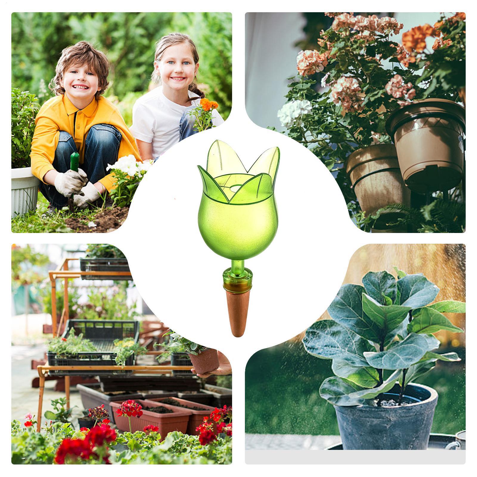 Plant Self Watering Devices Pl - огляд і ціна Self-Watering Planter