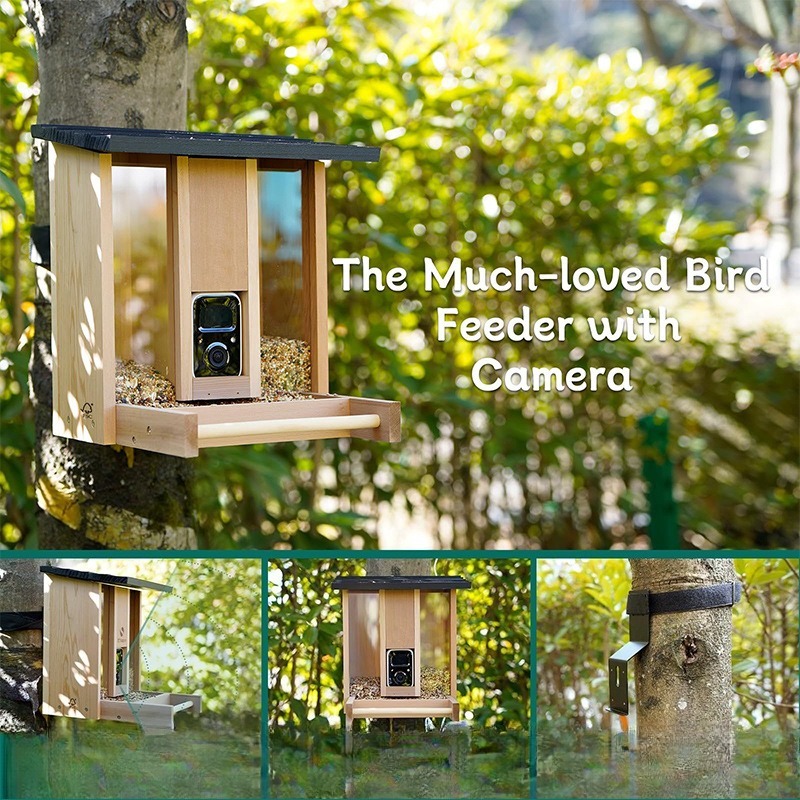 AI intelligent bird feeder wit - огляд і ціна Gardening Tools With Definition