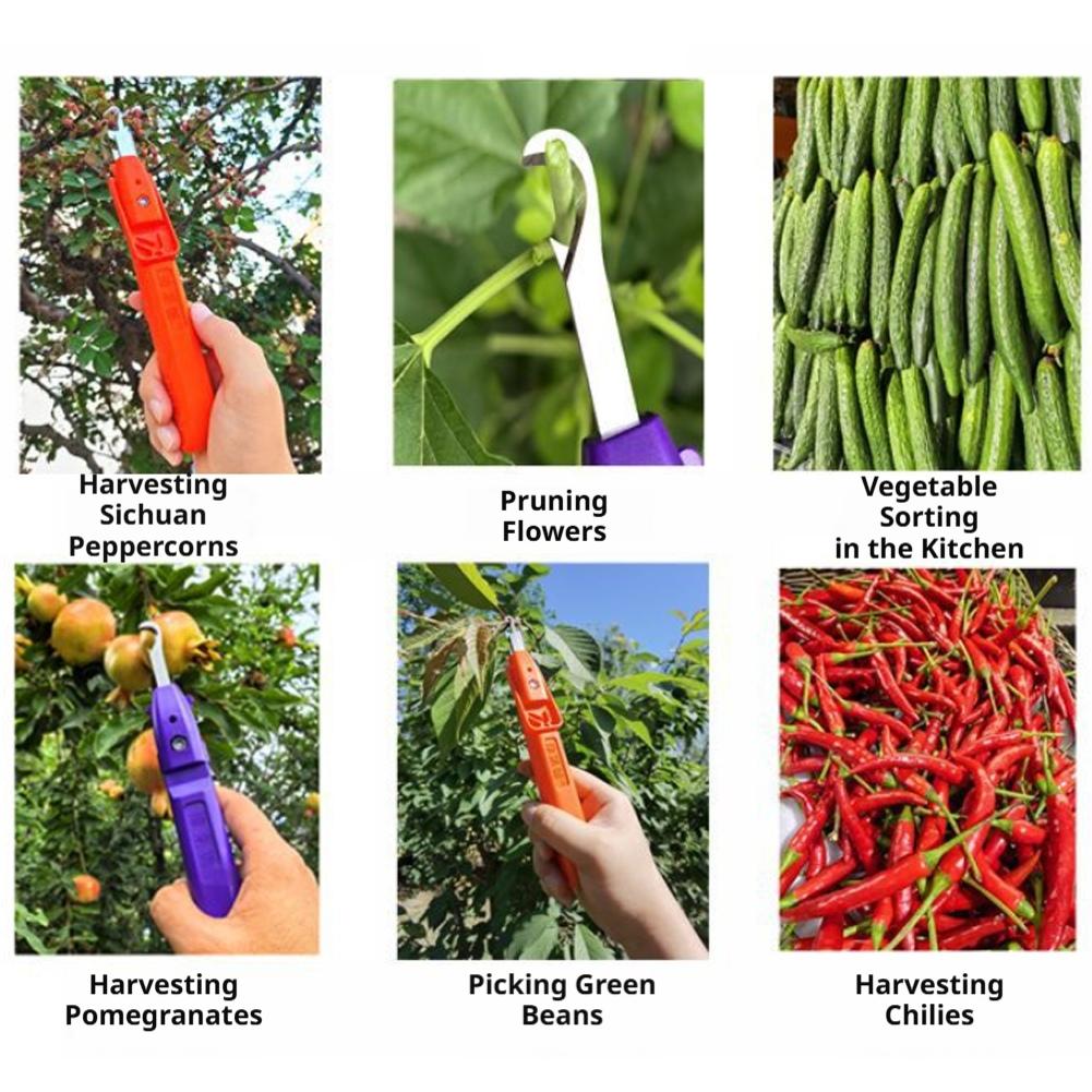 Handheld Berry Picking Tool Er - огляд і ціна Gardening Tools Cutter