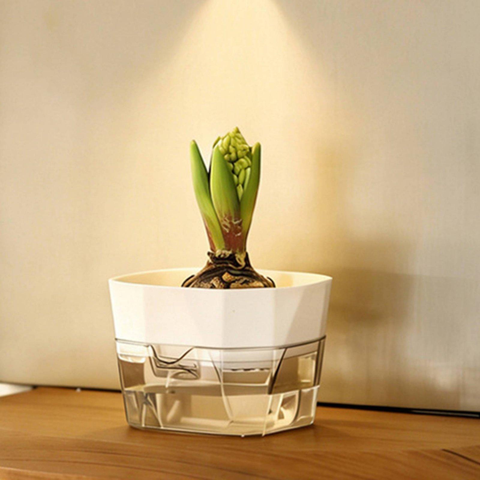 Hydroponic Vase Two Layer Self - огляд і ціна Self-Watering Planter