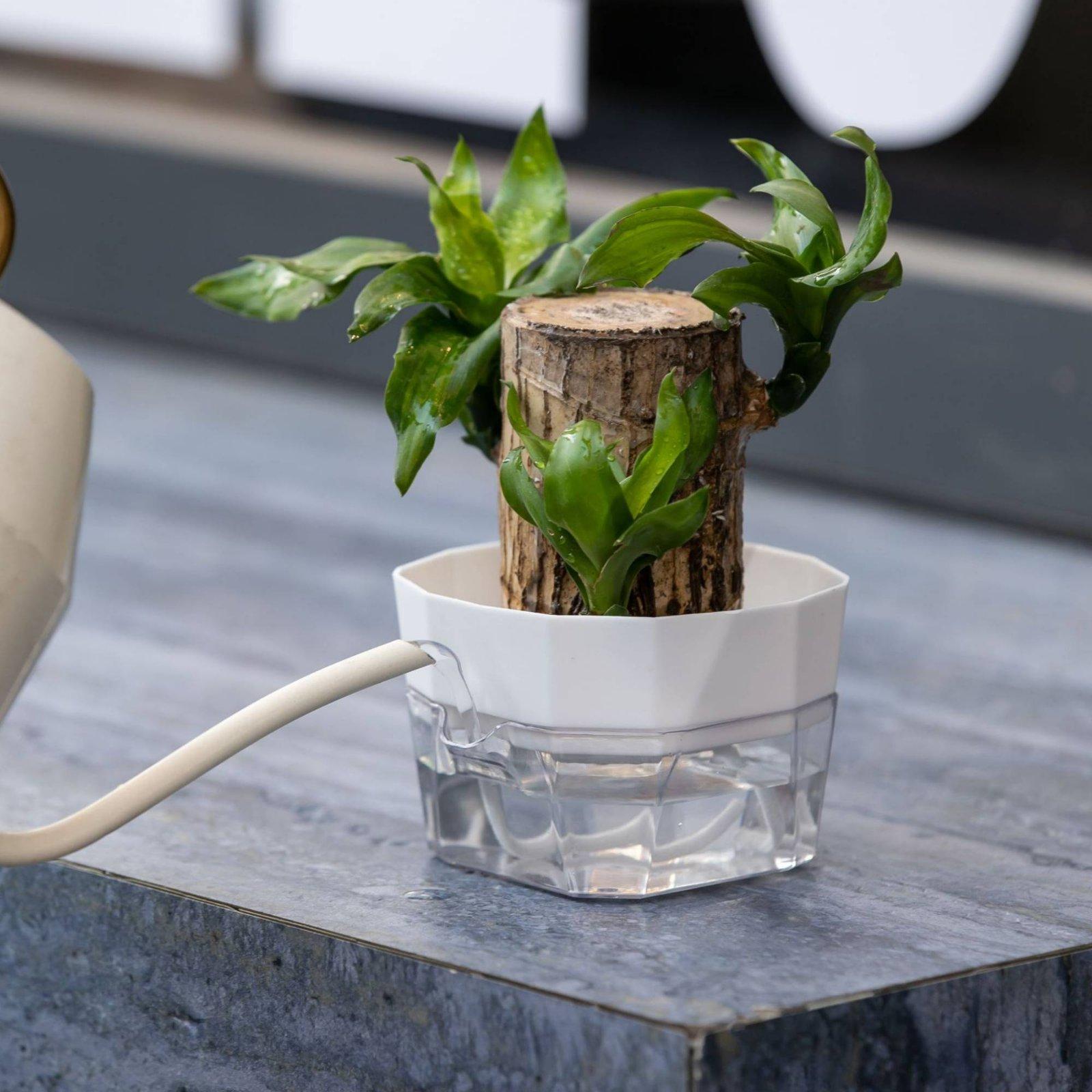 Hydroponic Vase Two Layer Self - огляд і ціна Self-Watering Planter