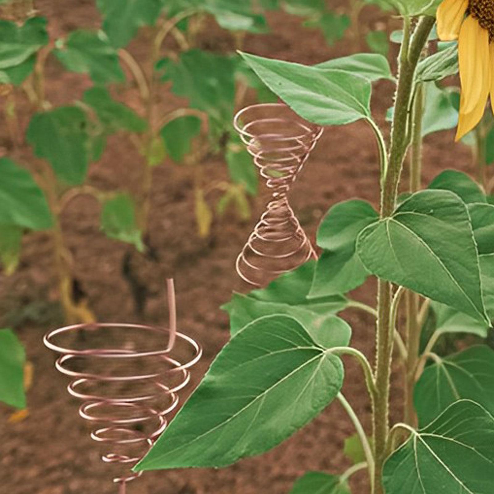 Coil Winding Jig for Electrocu - огляд і ціна Gardening Tool Diy