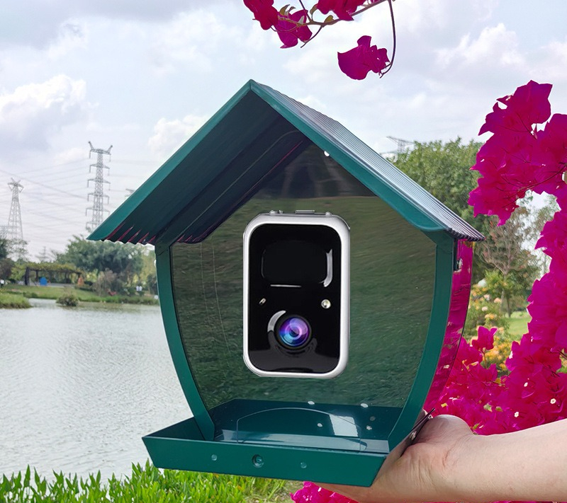AI intelligent bird feeder wit - огляд і ціна Gardening Tools With Definition
