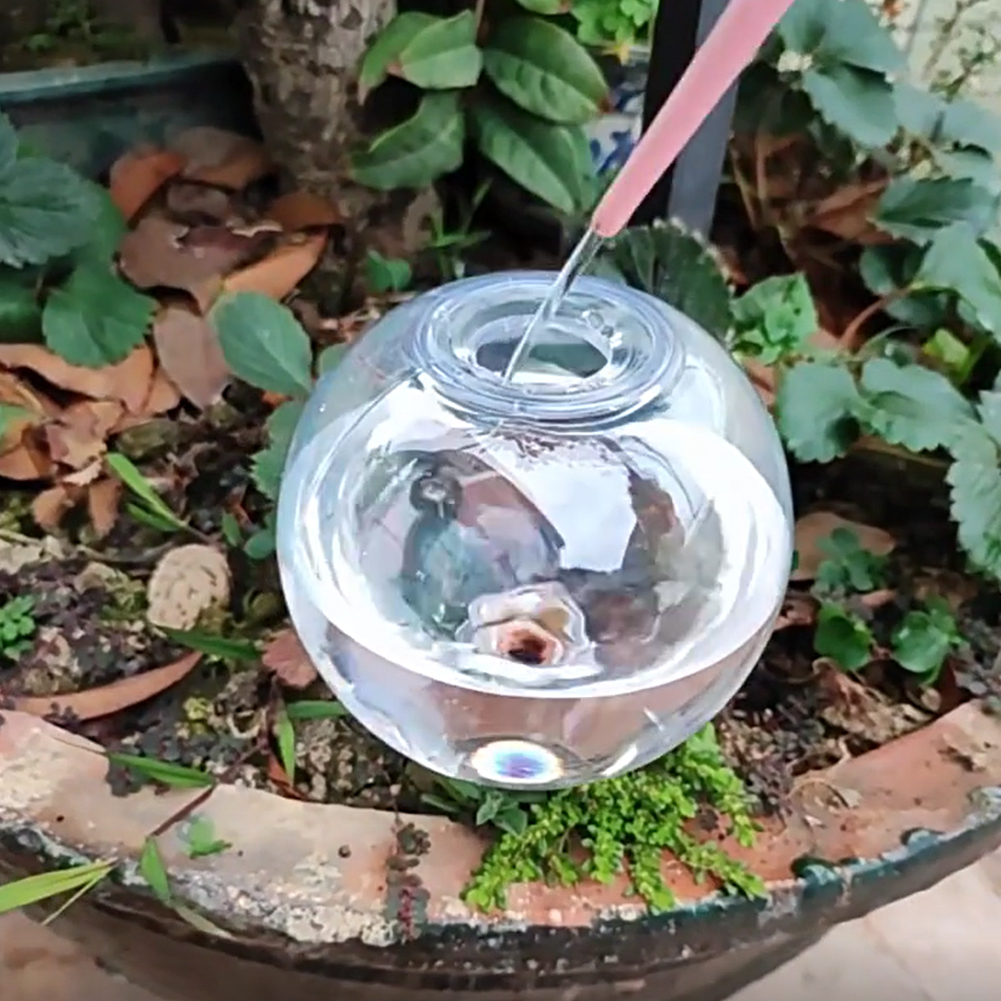 500ML Self Watering Globes Dri - огляд і ціна Self-Watering Planter