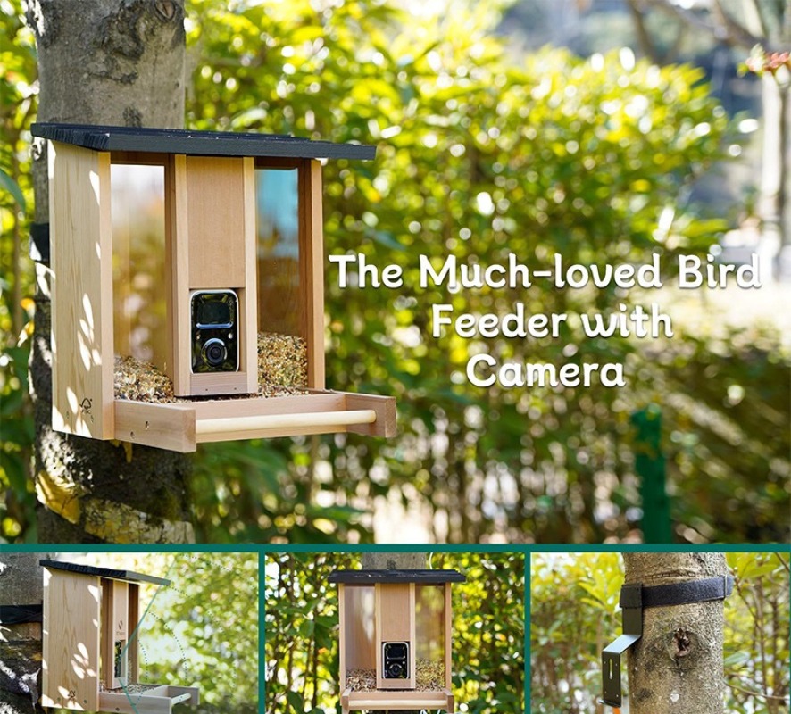 AI intelligent bird feeder wit - огляд і ціна Gardening Tools With Definition