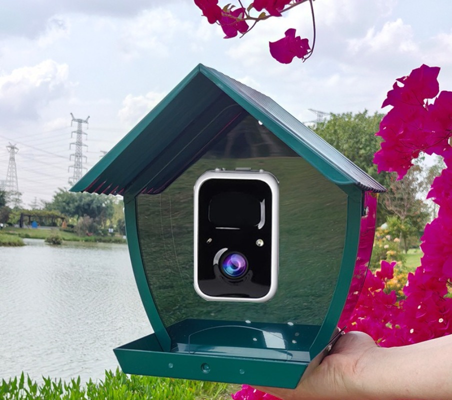 AI intelligent bird feeder wit - огляд і ціна Gardening Tools With Definition