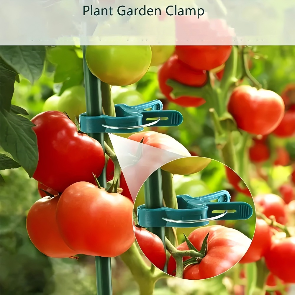 10/30/50pcs Adjustable Plant C - огляд і ціна Gardening Tools Essential