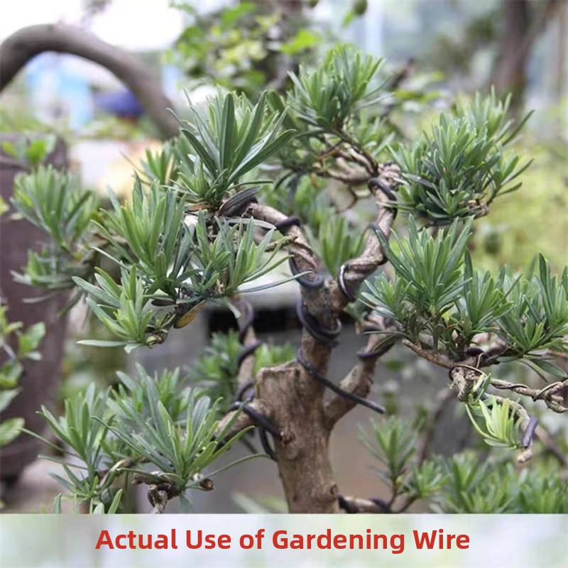 1.5MM Bonsai Wires Aluminum Bo - огляд і ціна Gardening Tool Diy