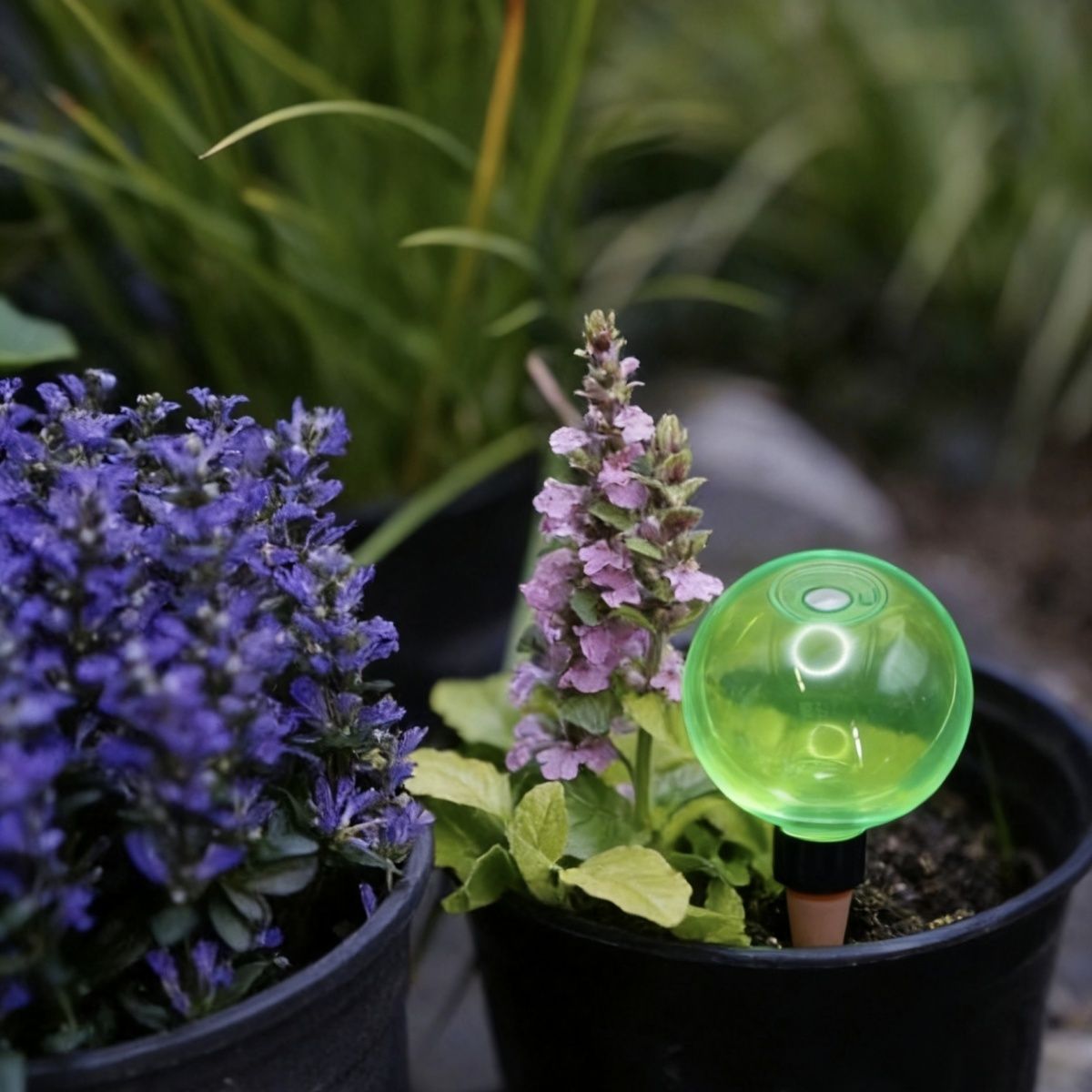 3pcs Large Plant Self Watering - огляд і ціна Self-Watering Planter