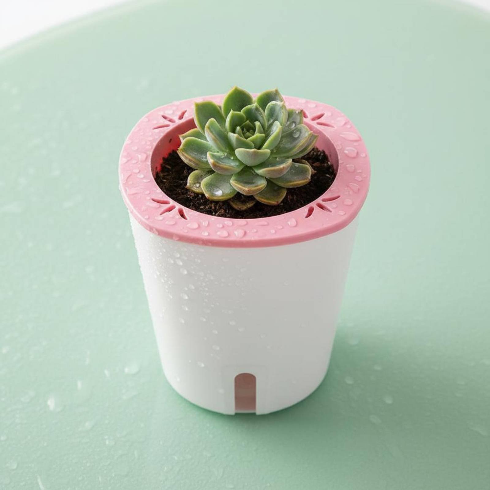Self Watering Planter Large Si - огляд і ціна Self-Watering Planter