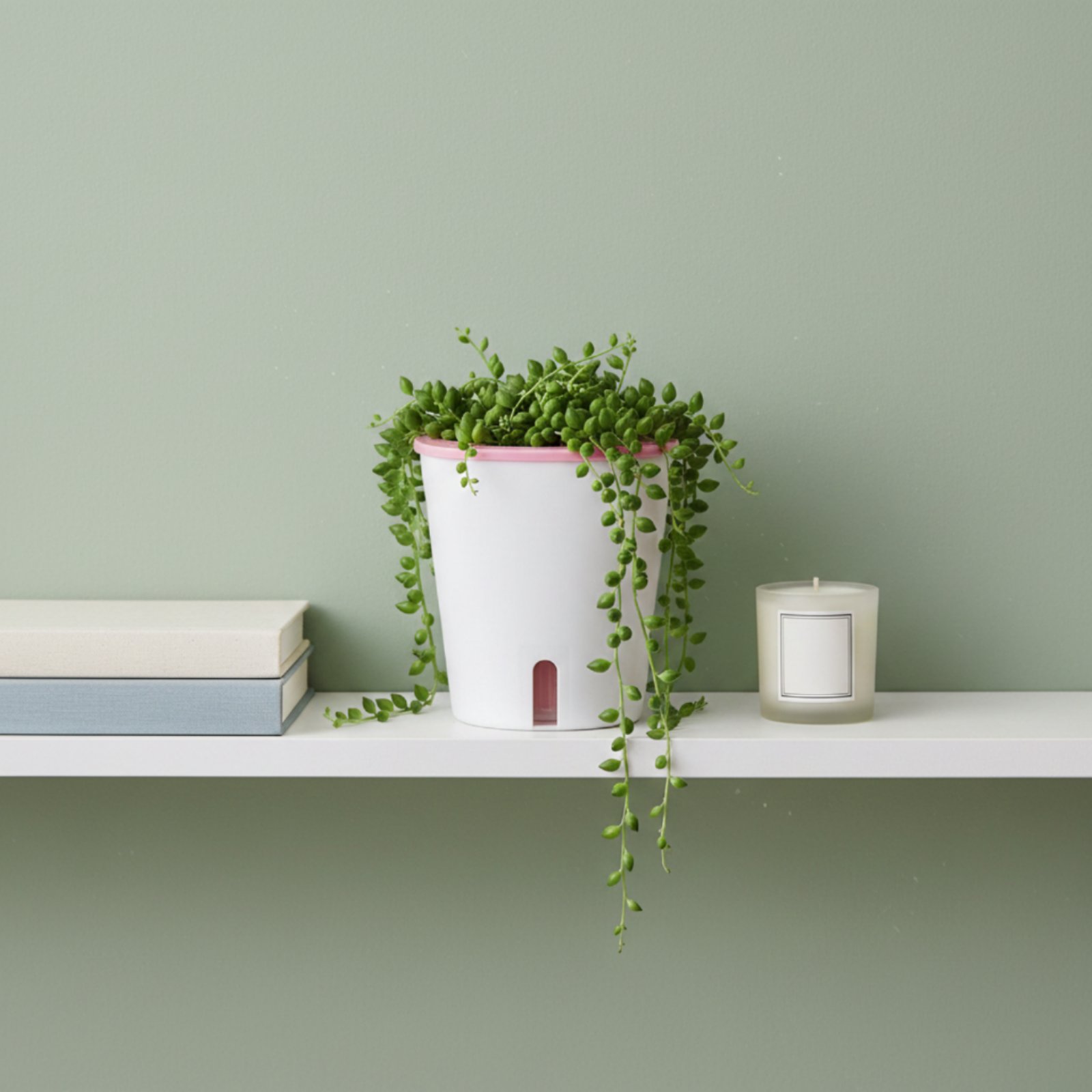 Self Watering Planter Large Si - огляд і ціна Self-Watering Planter