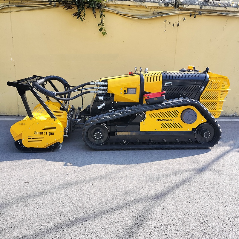 Intelligent Remote Control Cra - огляд і ціна Gardening Tools China
